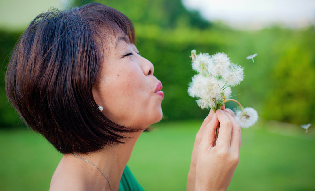 Retrouver l'apaisement grâce à l'aromathérapie - Calmaia