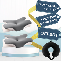2 Oreillers Sérénia