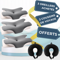 3 Oreillers Sérénia